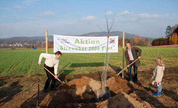 Bürgermeister Falk und Jürgen Lassauer pflanzen eine Apfelbaum